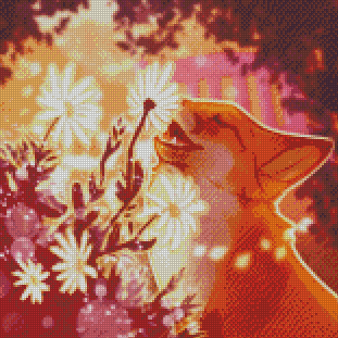 Daisy Dew Garden