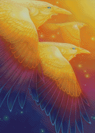 Fly Through Rainbow