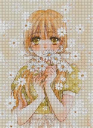 Daisy Flower