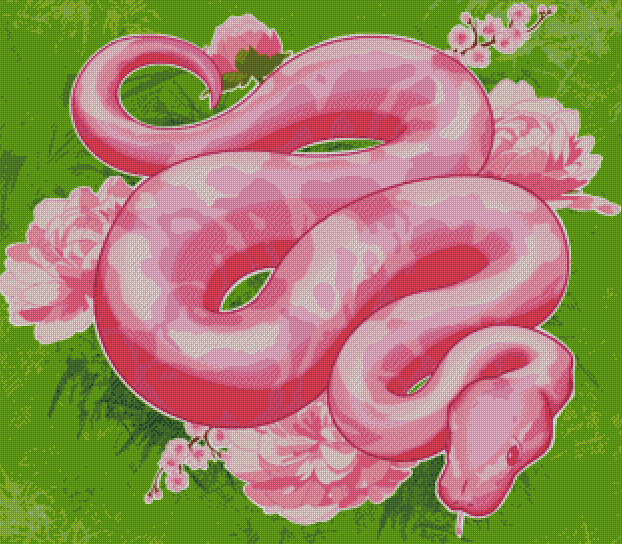 Pinky