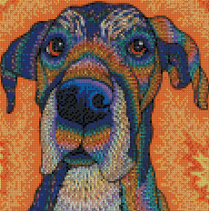 Ezri
