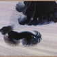 Dynamism of a Dog on a Leash | Giacomo Balla
