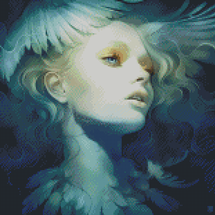 Fly