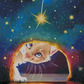 Starry Secret
