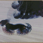Dynamism of a Dog on a Leash | Giacomo Balla