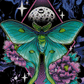 Lunamoth With The Moon