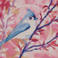 Spring Birdsong