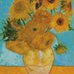 12 Sunflowers In A Vase