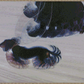 Dynamism of a Dog on a Leash | Giacomo Balla