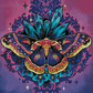 Cecropia Moth