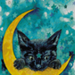 Bewitched
