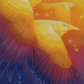 Fly Through Rainbow