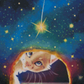Starry Secret