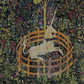 The Unicorn in Captivity