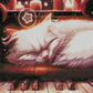Nocturne