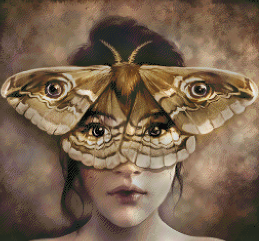 The Moth