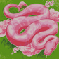 Pinky