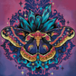 Cecropia Moth