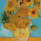 12 Sunflowers In A Vase