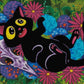 Catnip Comfort