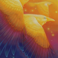 Fly Through Rainbow
