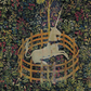 The Unicorn in Captivity