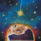 Starry Secret