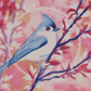 Spring Birdsong