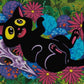 Catnip Comfort