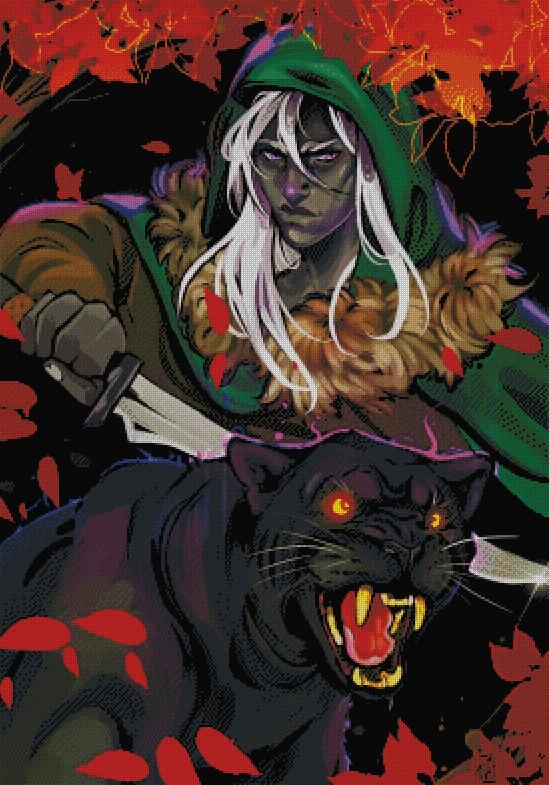 Warrior And His Panther