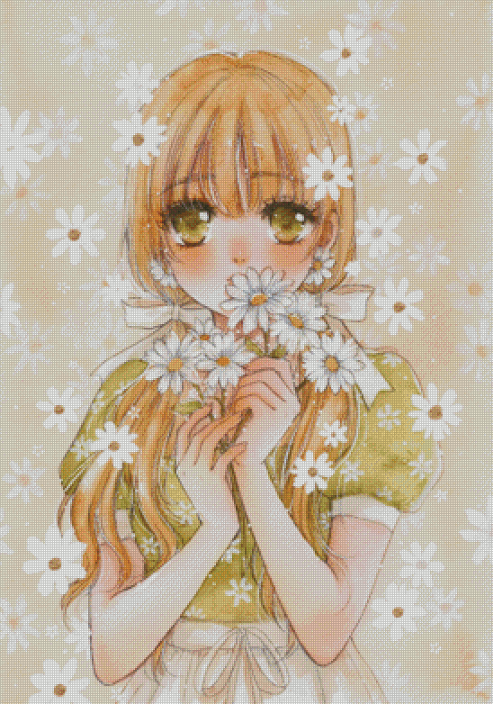 Daisy Flower