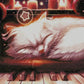 Nocturne
