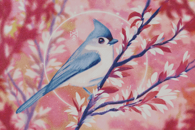 Spring Birdsong