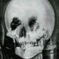 All is Vanity | Charles Allan Gilbert | JadedGemShop X SingleAndPlacing