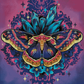Cecropia Moth