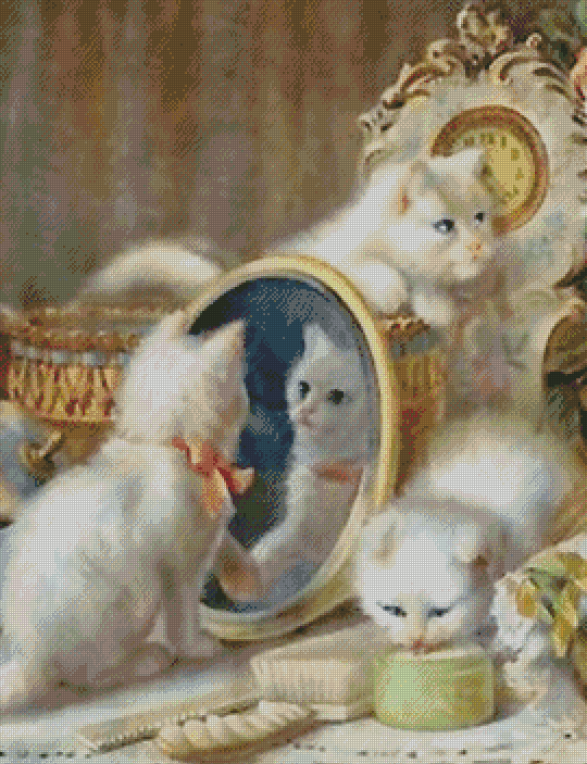 The Five Senses | H.G. Plumb