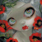 Opium Poppy