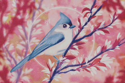 Spring Birdsong