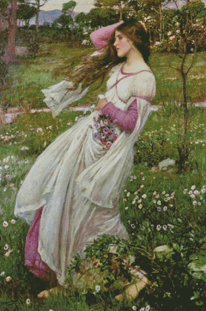 Windflowers