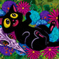 Catnip Comfort