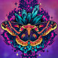 Cecropia Moth