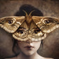 The Moth