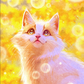 Bubbles