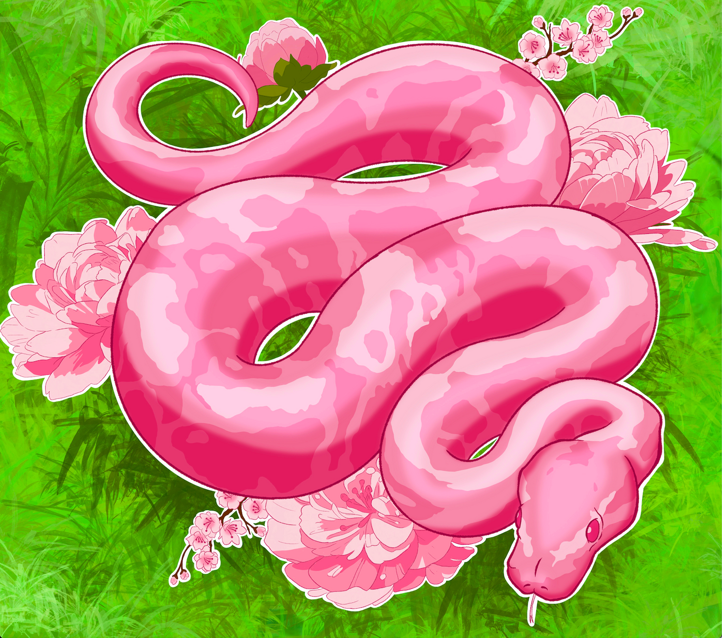 Pinky