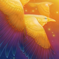 Fly Through Rainbow