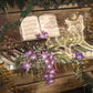 Tales Of Moss And Fern