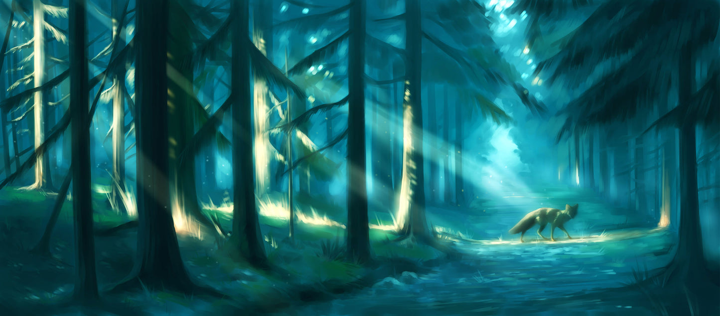 Enchanted Path