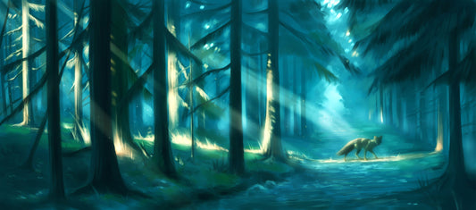 Enchanted Path