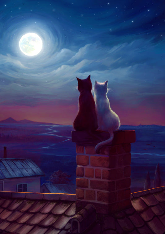 Cats On A Roof