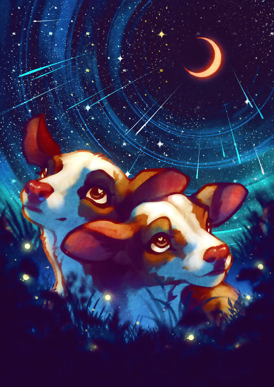 Twice As Many Stars
